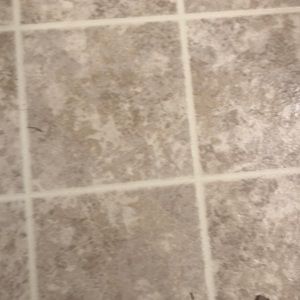 Meet your Posher, Joni